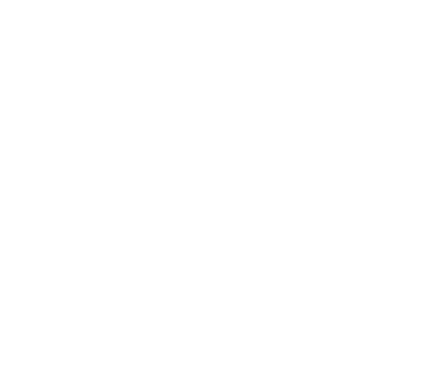 liang dong Logo