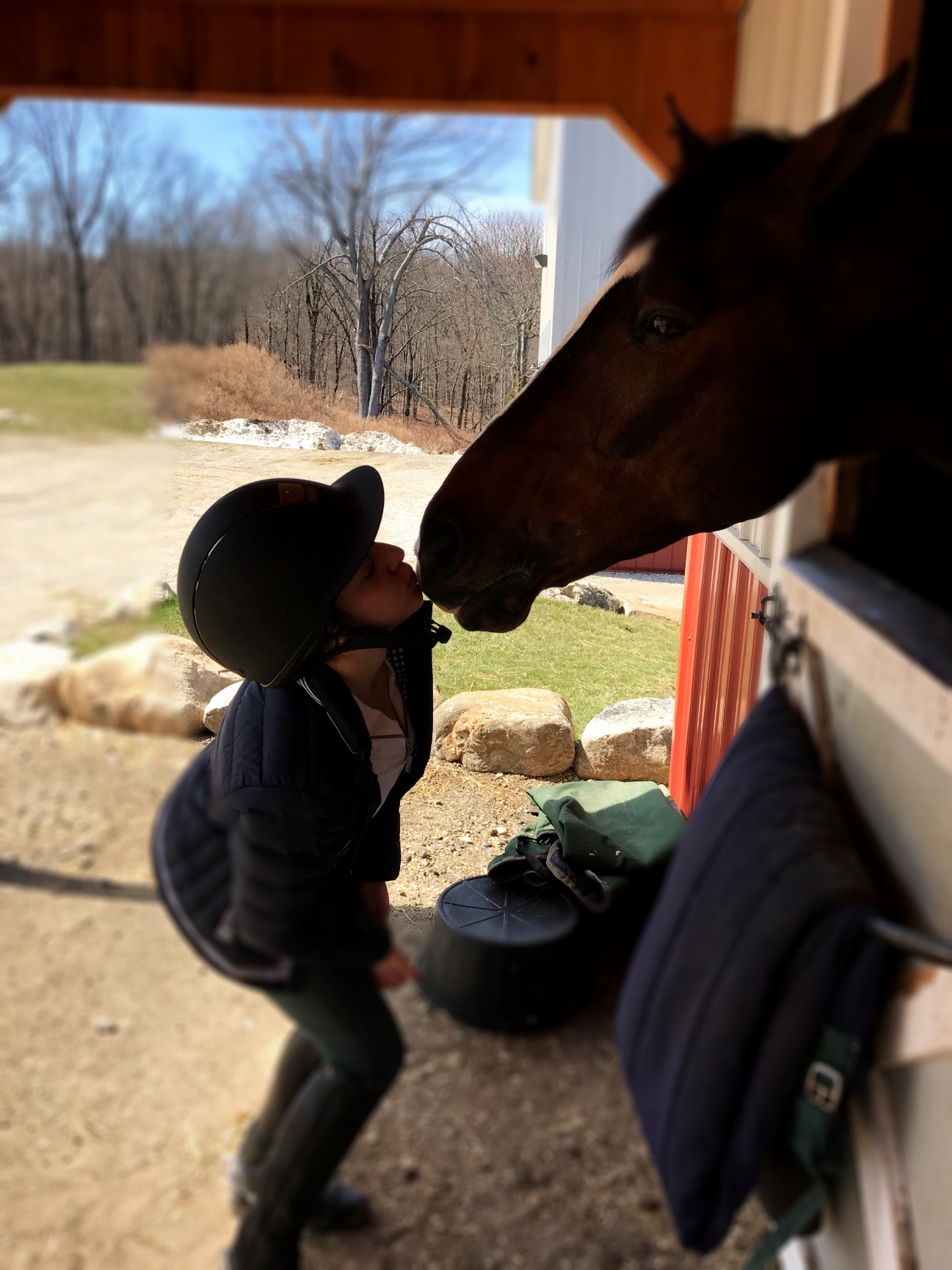 thefit.equestrian k.m.thornton & co., llc