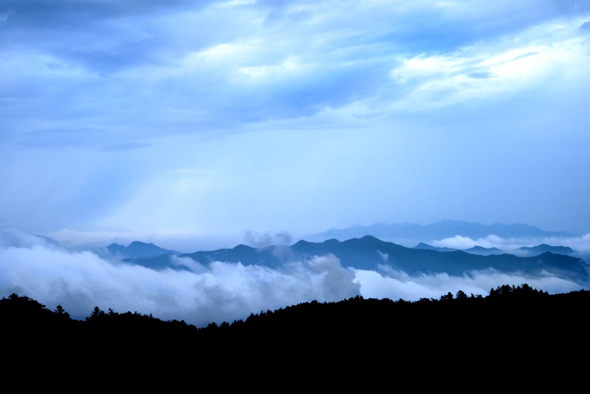 Jigokudani (地獄谷) Hell's Valley Japan - Blain Harasymiw Photography