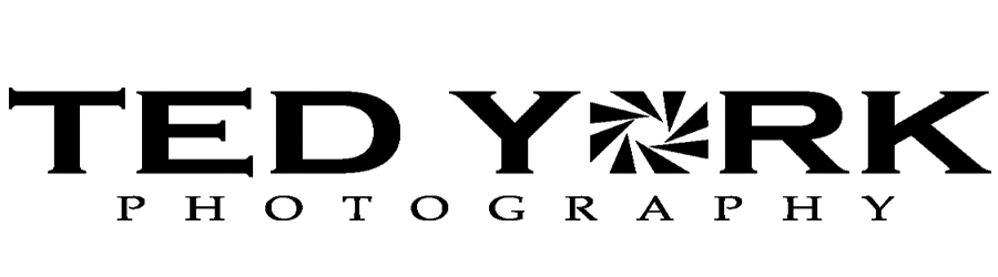 Ted York Photography Logo