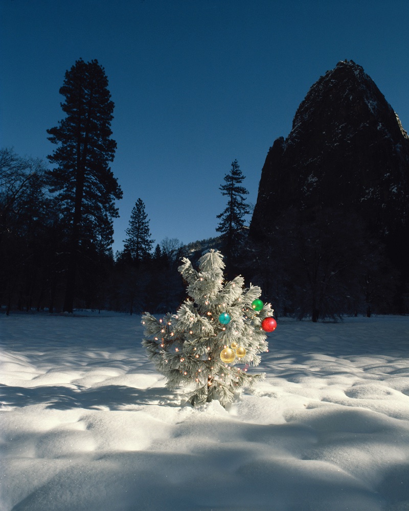Christmas in Yosemite Jim Zuckerman photography & photo tours