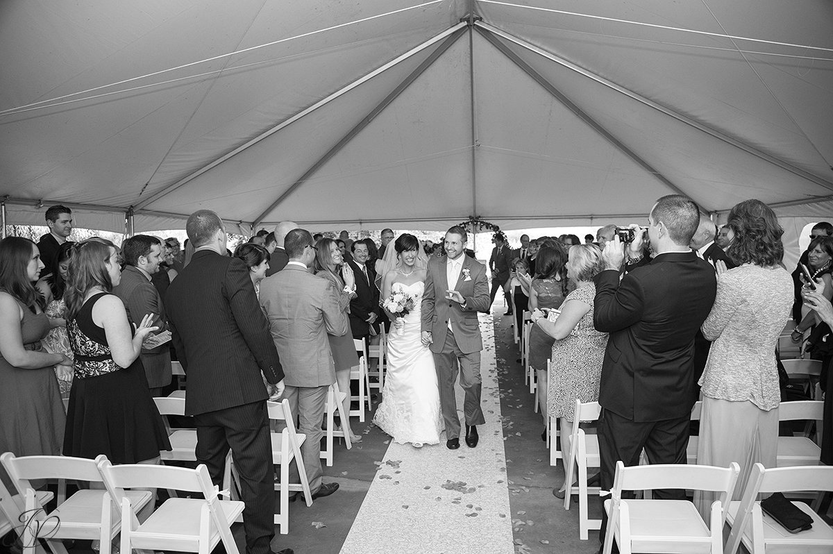 jessica painter photography albany wedding photographer