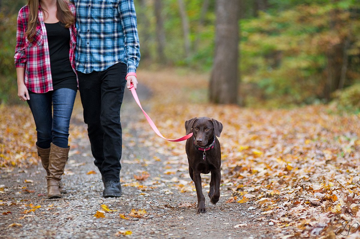 romantic fall engagement pictures with dog