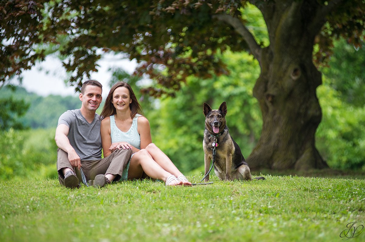 dog engagement photo