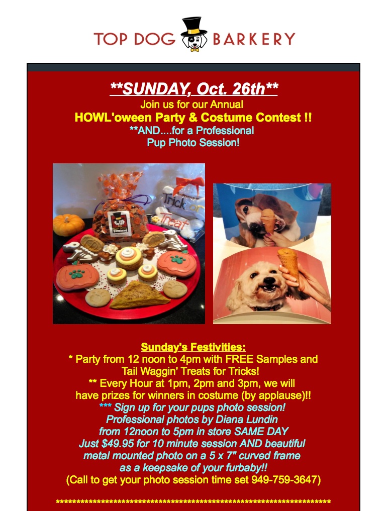 Photo Shoot at Top Dog Barkery in Newport Beach Los Angeles Pet