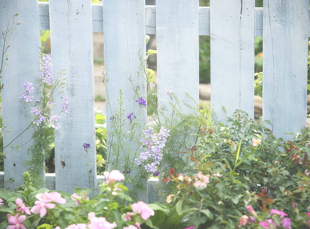 English Cottage Garden Photo Studio Misty Westebbe Photography