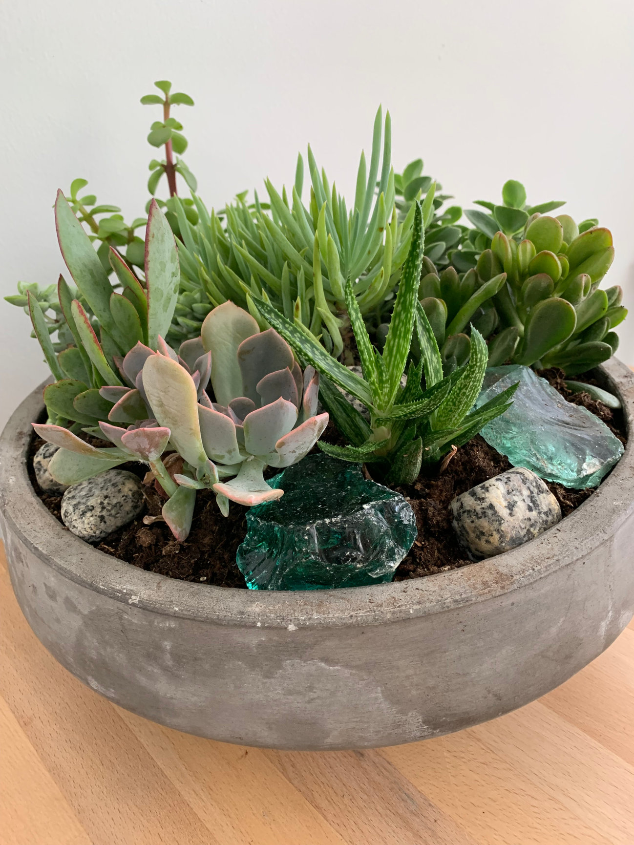 Succulent Zen Garden - Malleret Designs