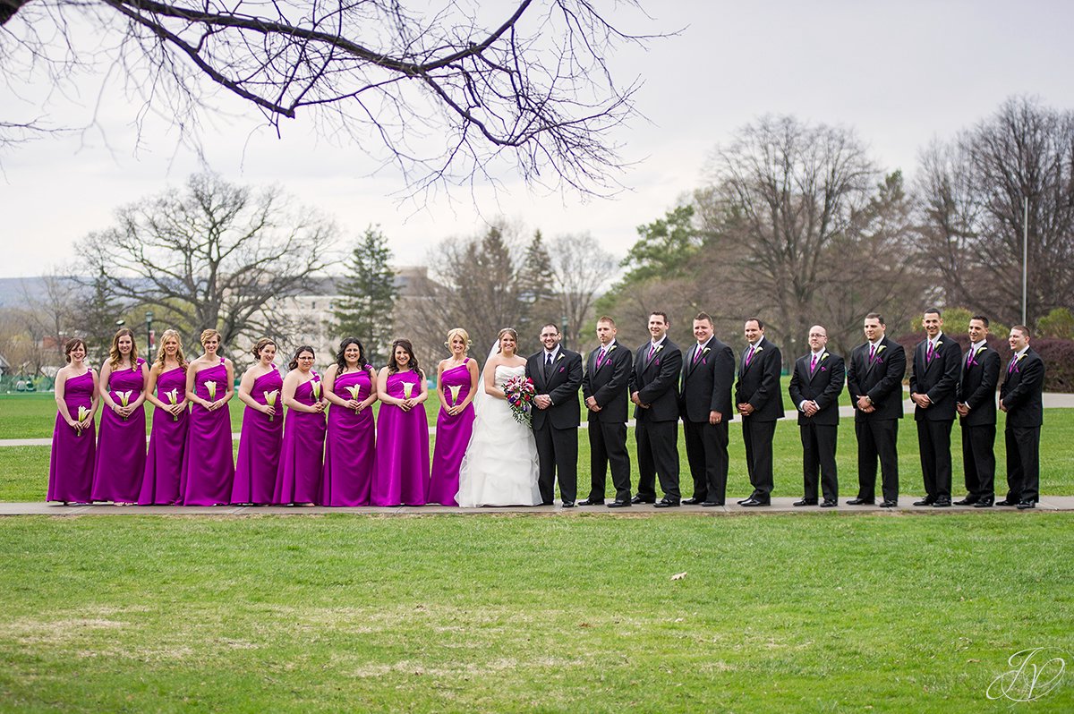 photo of a large bridal party