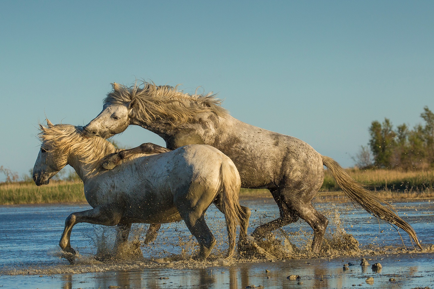 Focus Points Jim Zuckerman Photography Photo Tours