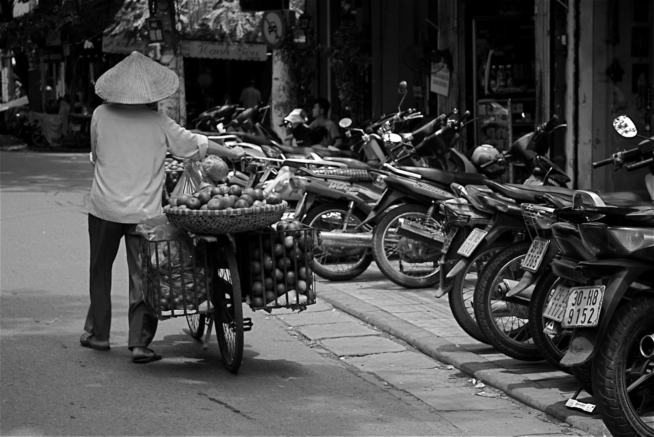 The Surprising Range Of Looks In Vietnam A Photographic Journey - 96x0wo1