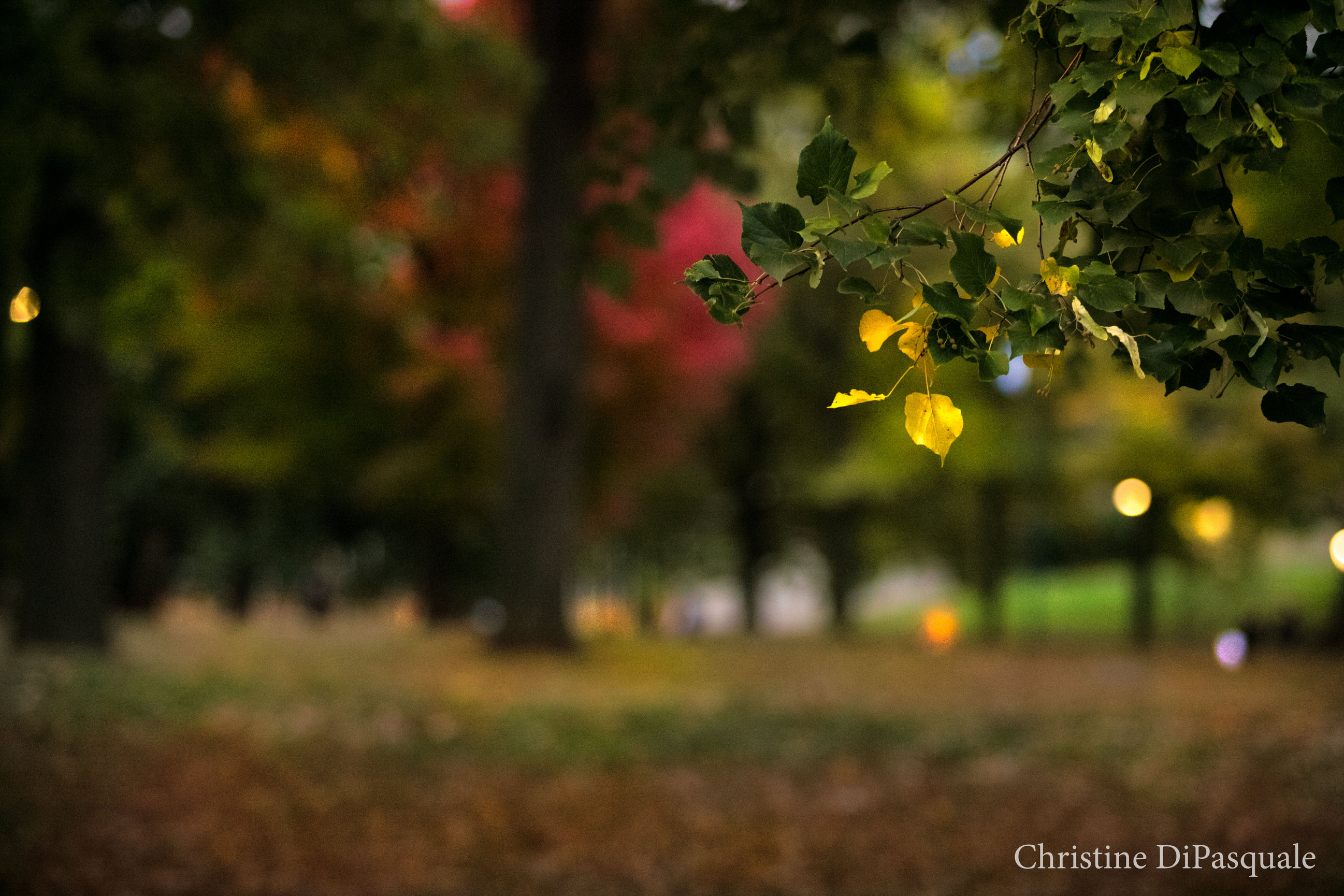 fine art photography prints fine art photography prints