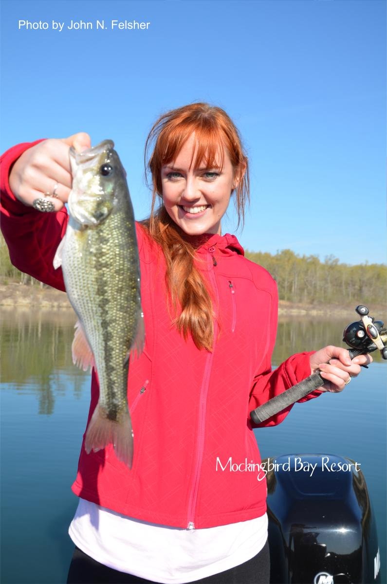 Kentucky Bass Night Striper Fishing at Mockingbird Bay Resort on