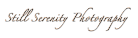 Still Serenity Photography Logo