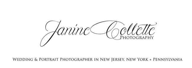 janine collette photography Logo