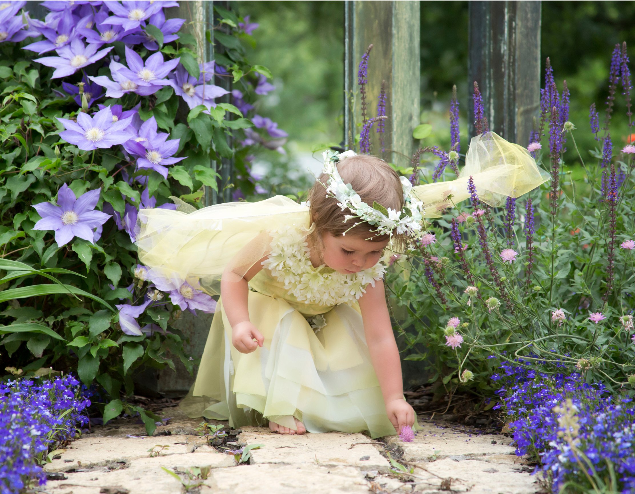 FAIRY GALLERY Light Drawn Studios, Inc.