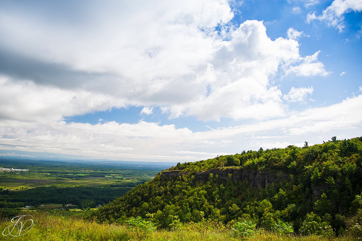 albany maternity photography, albany maternity photographer, john boyd thacher state park