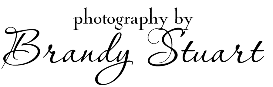 Photography by Brandy Stuart Logo
