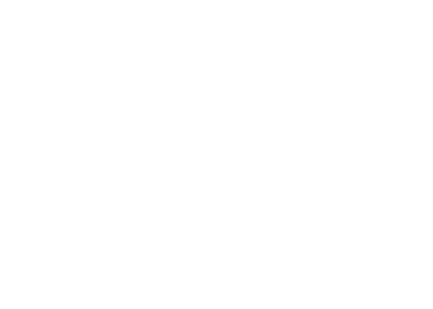 No Limits Photography Logo