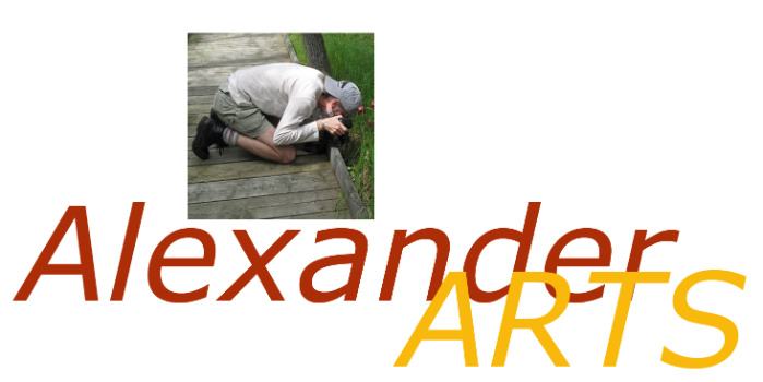 Alexander Arts Logo
