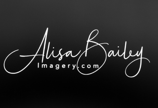 Alisa Bailey Imagery, LLC Logo