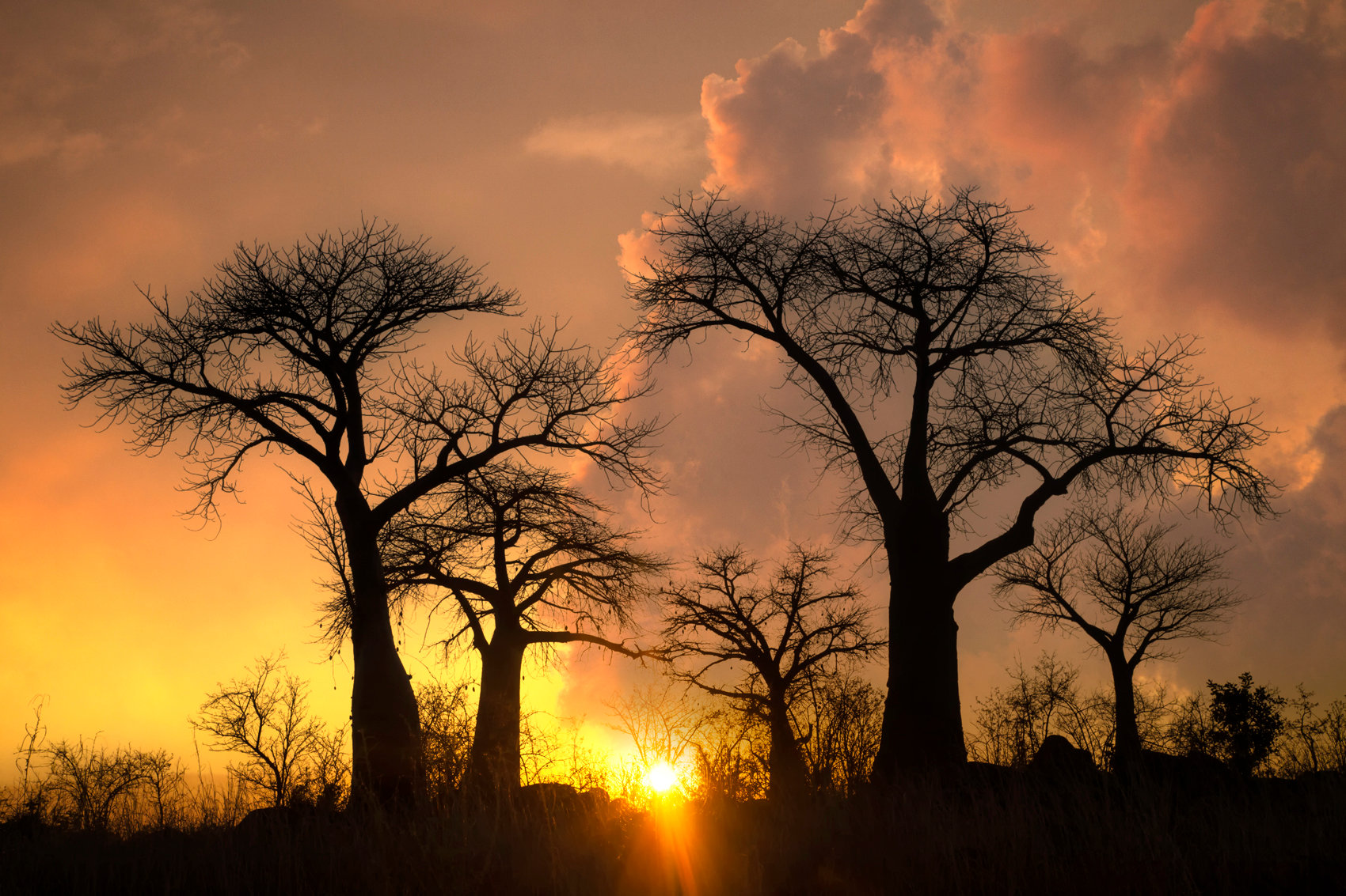 Sunset silhouette - Jim Zuckerman photography & photo tours