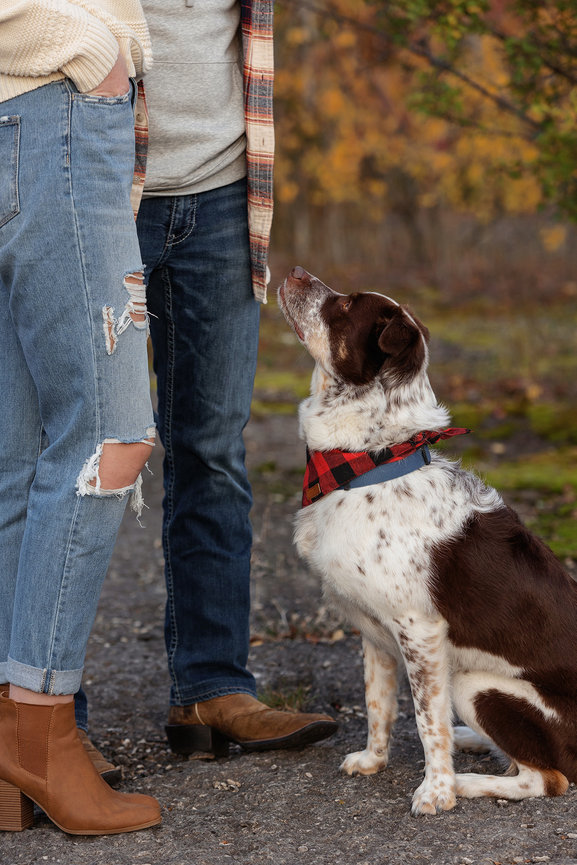 A dog wearing a plaid bandana sits on a path, looking up at two people in jeans and boots, with autumn foliage in the background.