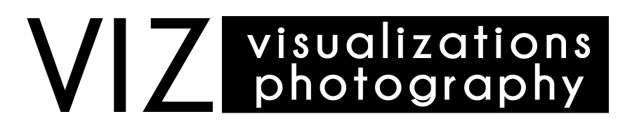 Visualizations Photography Logo