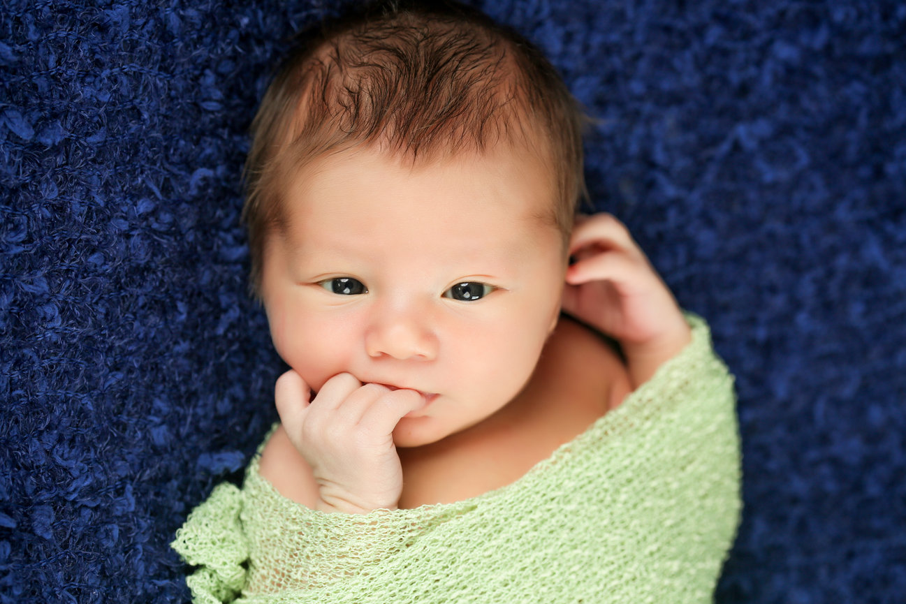 Newborn Portraits Near Me Damascus MD