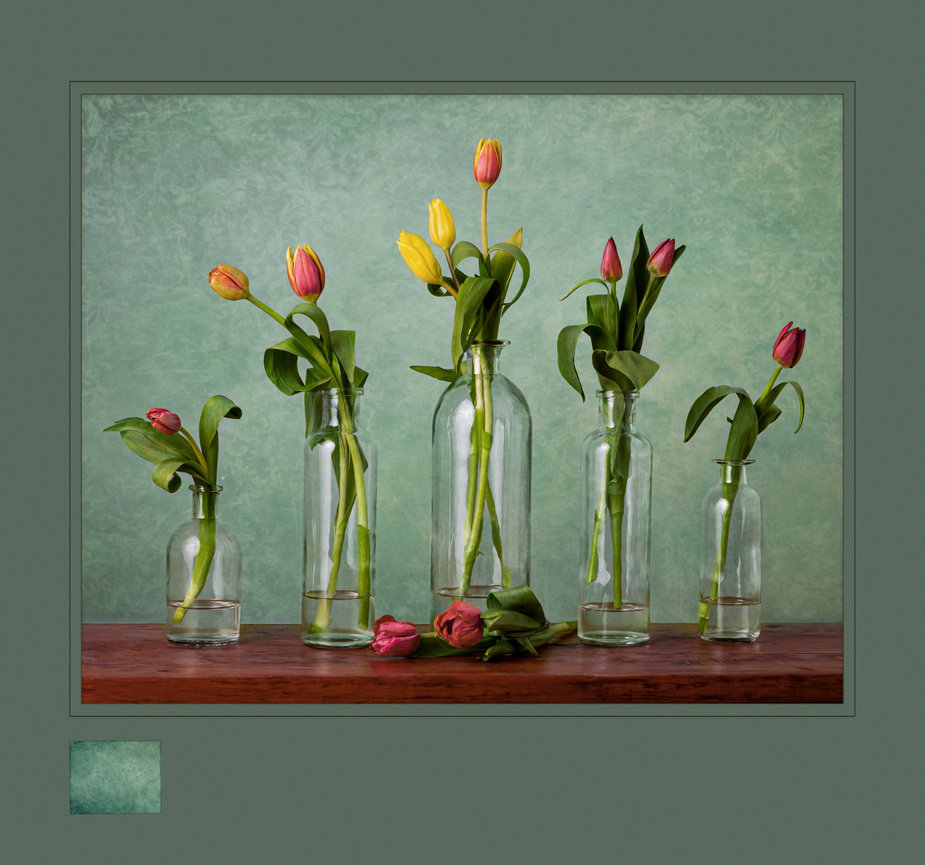 Virginia Professional Photographer's Association (VPPA)