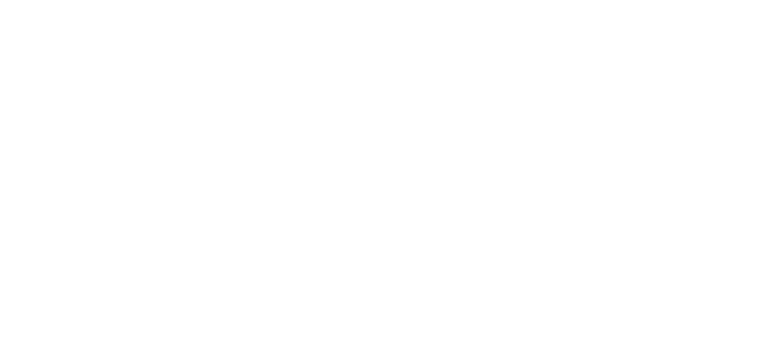 Amanda AnnO'lene Photography LLC Logo