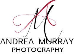 Andrea Murray Photography Logo