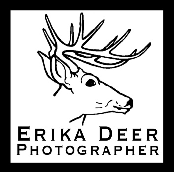 Erika Deer Photographer Logo