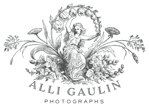 Alli Gaulin Photographs Logo