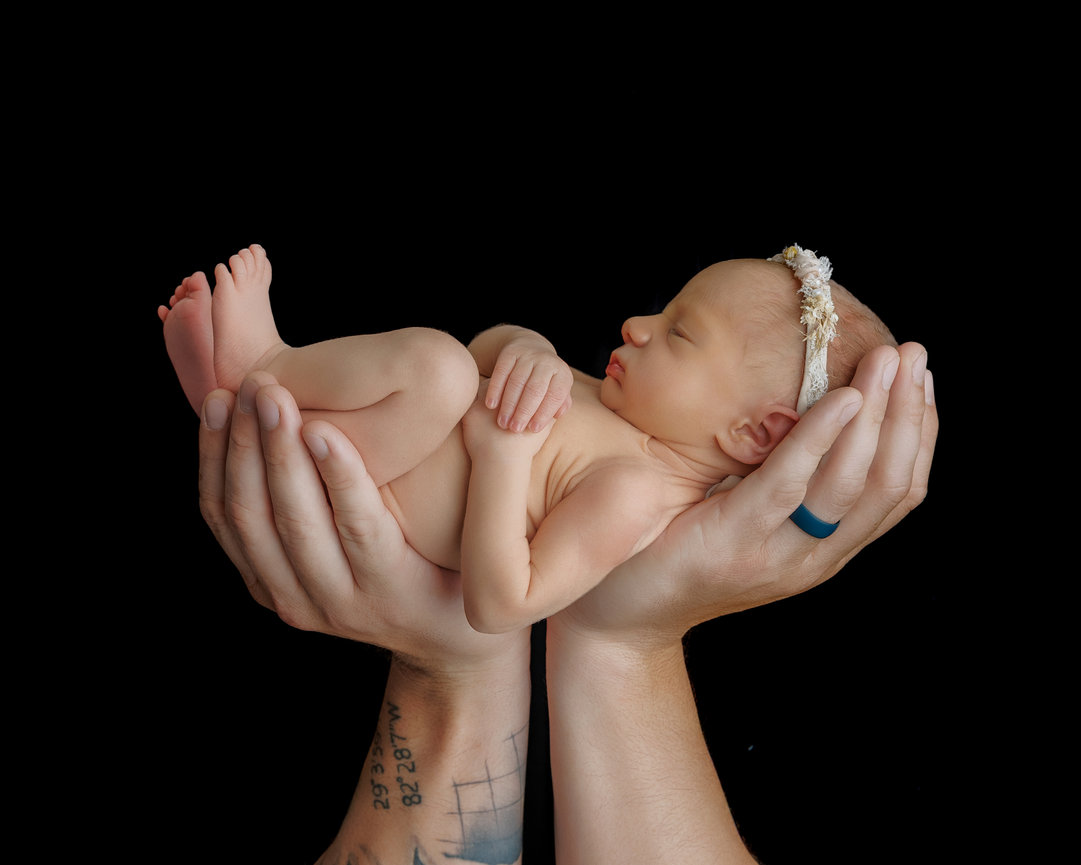 Newborn baby resting in posed hands on a black background