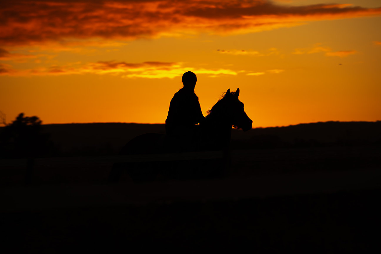 Silhouette of a horse and rider against a sunset