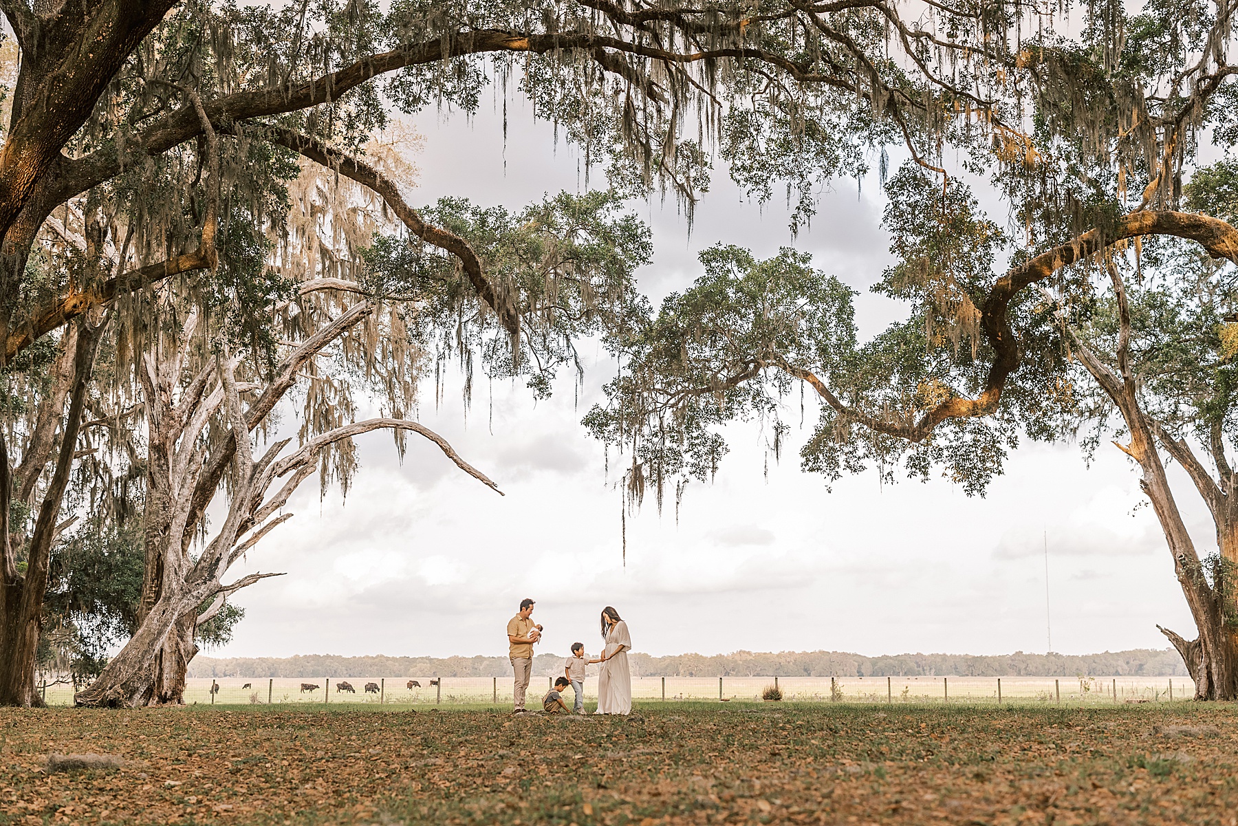 family standing in cow pasture in the springtime at Paynes Prairie Florida