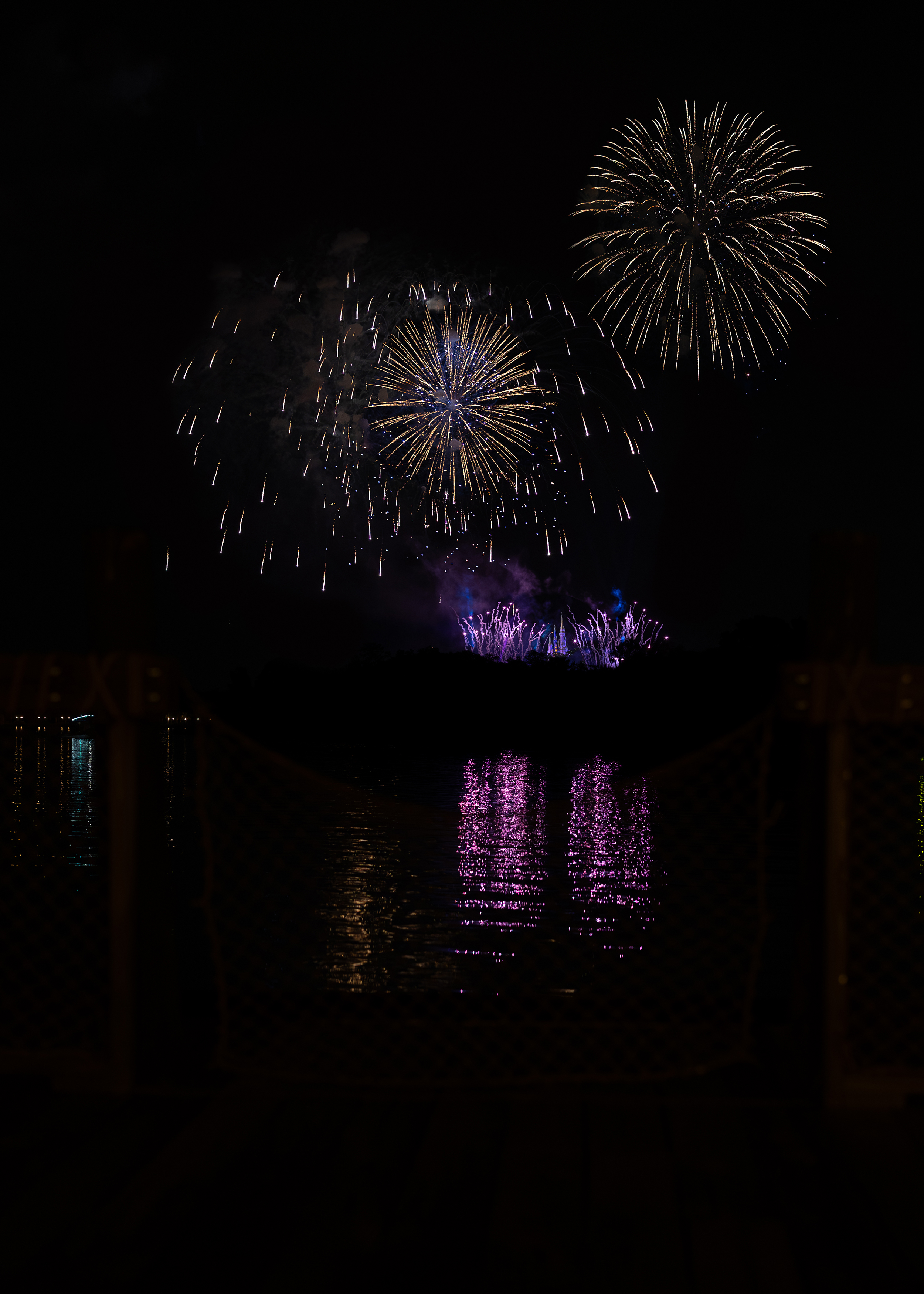 A nighttime firework photo of Walt Disney World's Happily Ever After fireworks show at the Polynesian Resort in Orlando, Florida.