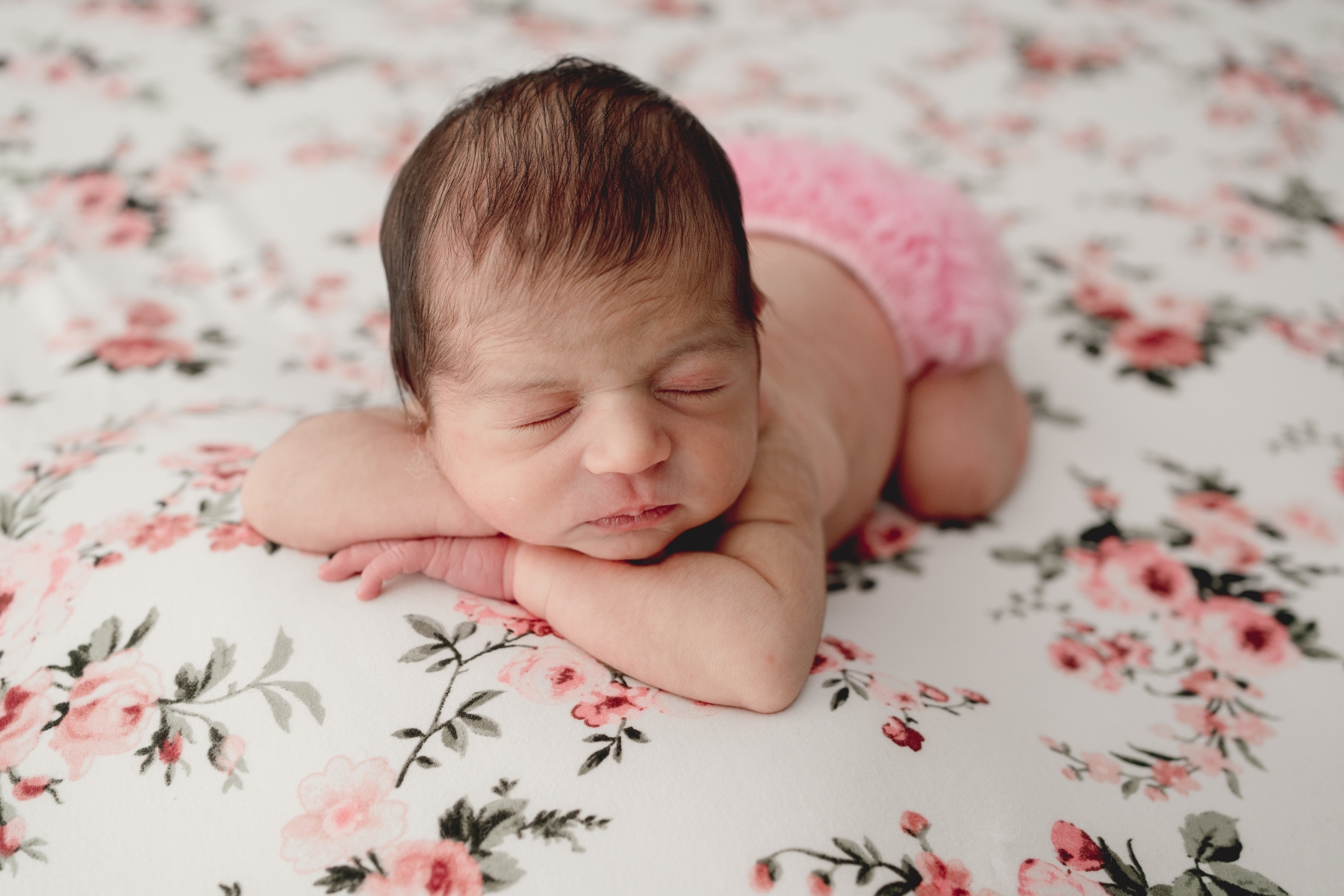 Raleigh Newborn Photographer