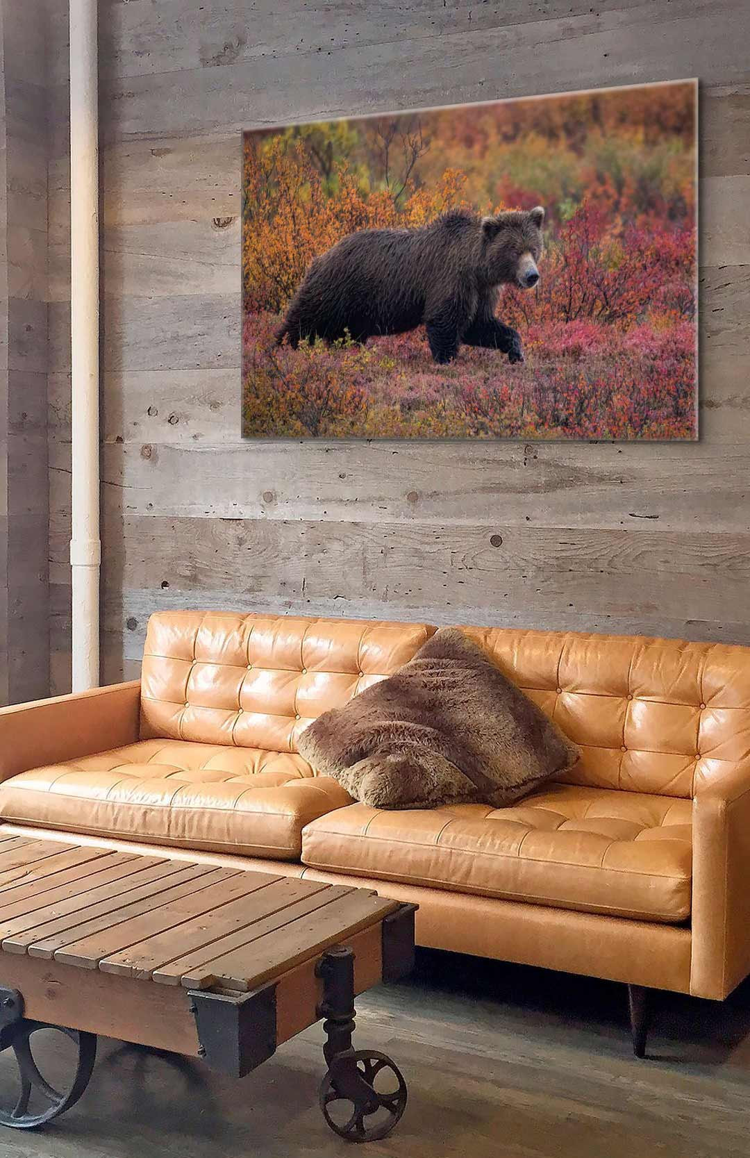 Fall Forager Canvas Print