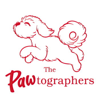 The PAWtographers Logo