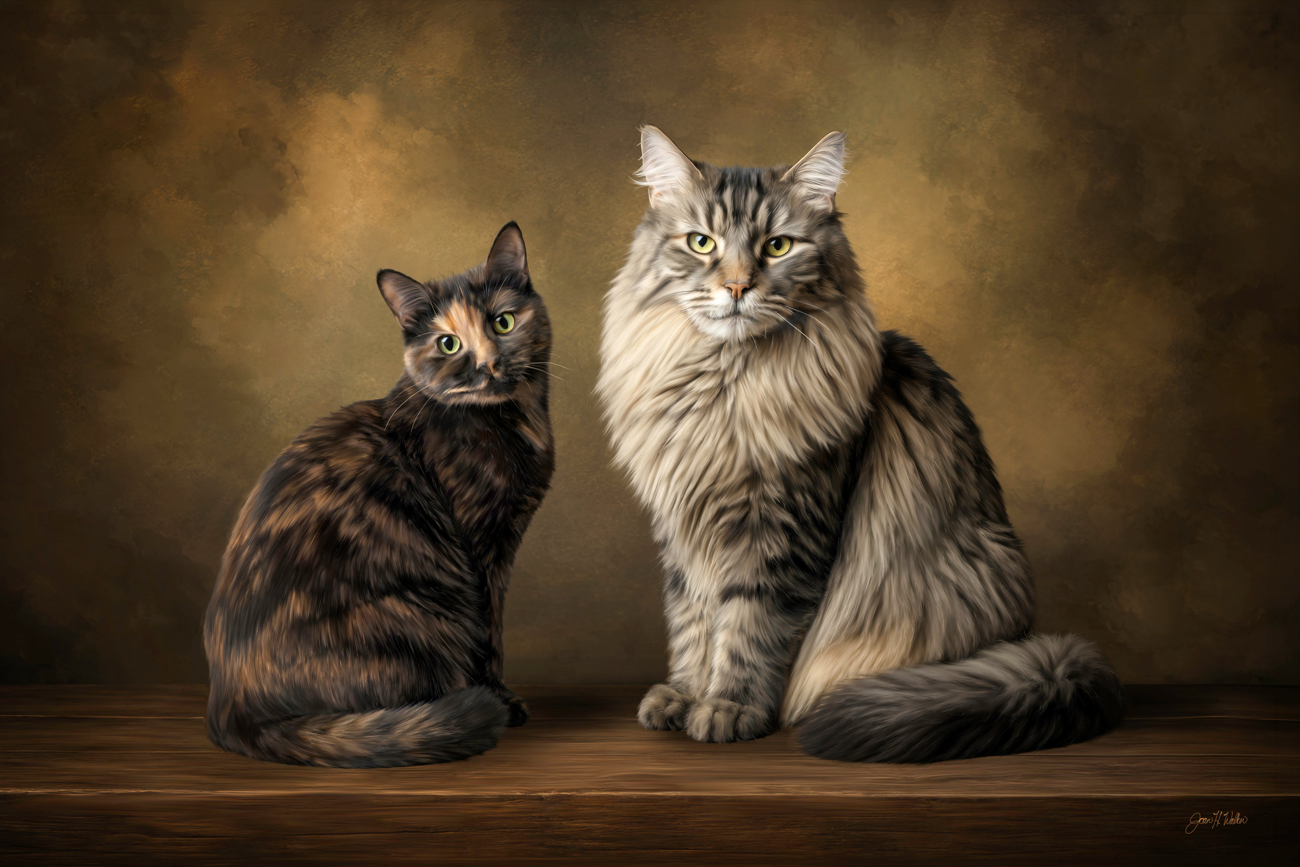 Fine art cat portrait by The PAWtographers