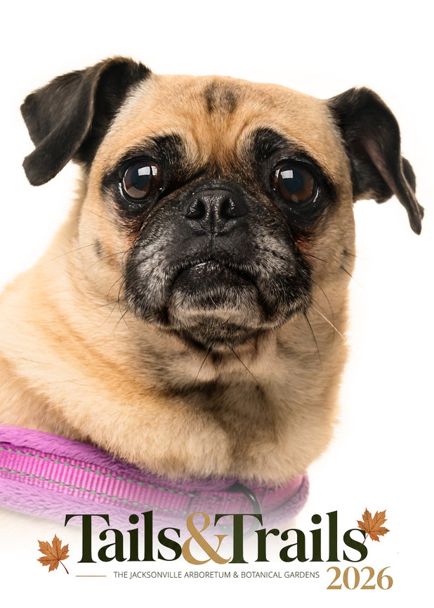 Tails and Trails 2026 dog portrait
