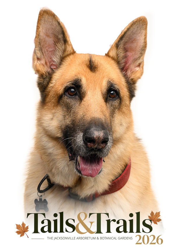Tails and Trails 2026 dog portrait