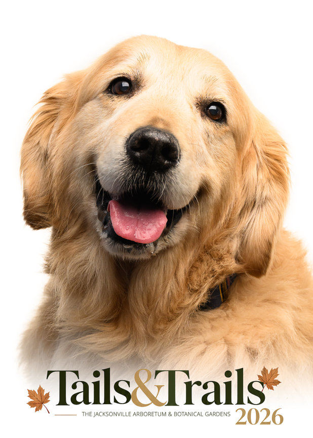 Tails and Trails 2026 dog portrait