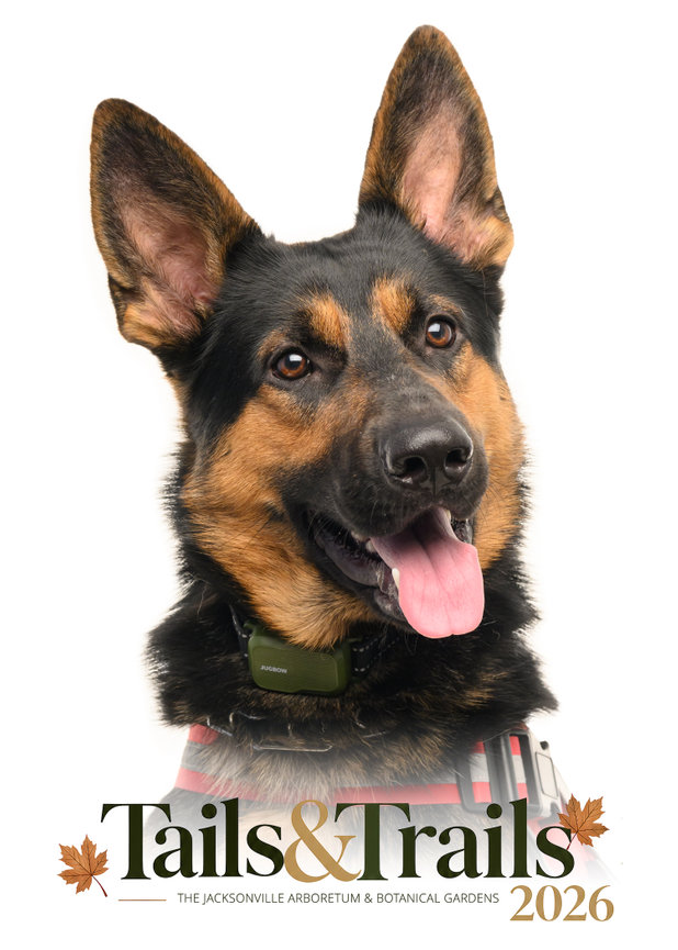 Tails and Trails 2026 dog portrait