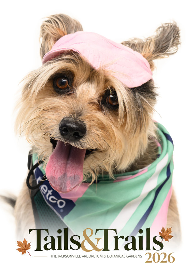 Tails and Trails 2026 dog portrait