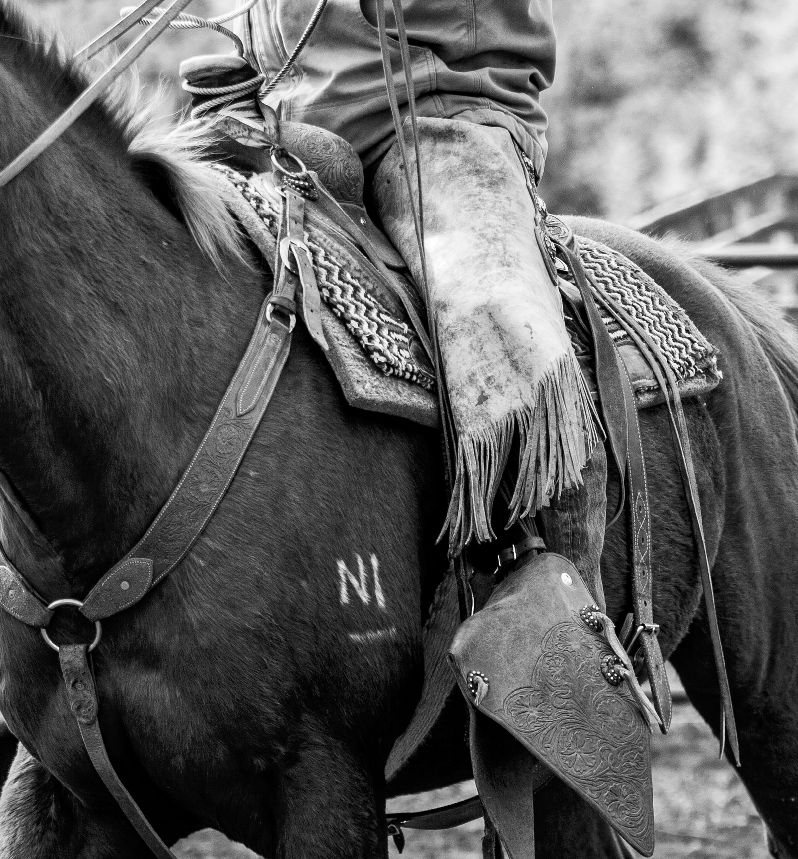 Ranch and Rodeo, photography of the southwest