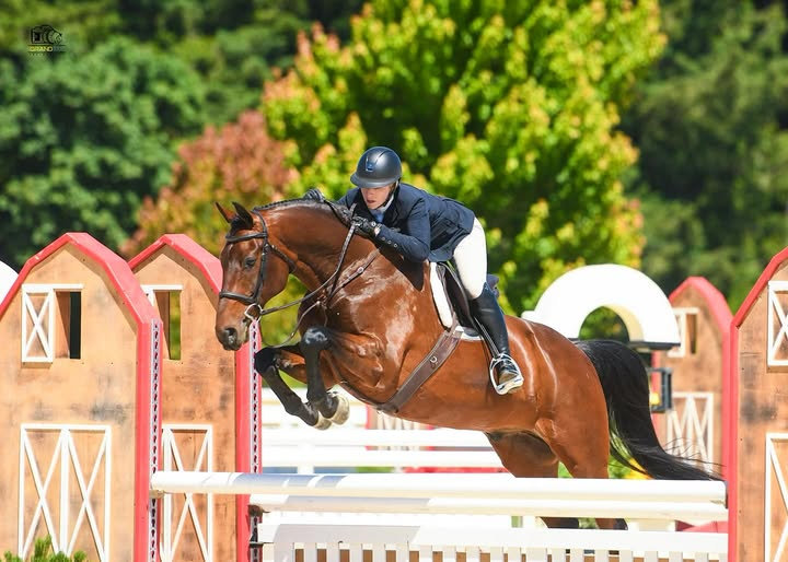 Horse and rider jumping a high obstacle in a colorful outdoor arena.