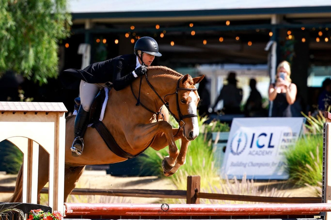 Horse and rider clearing a show jumping obstacle at an equestrian event.