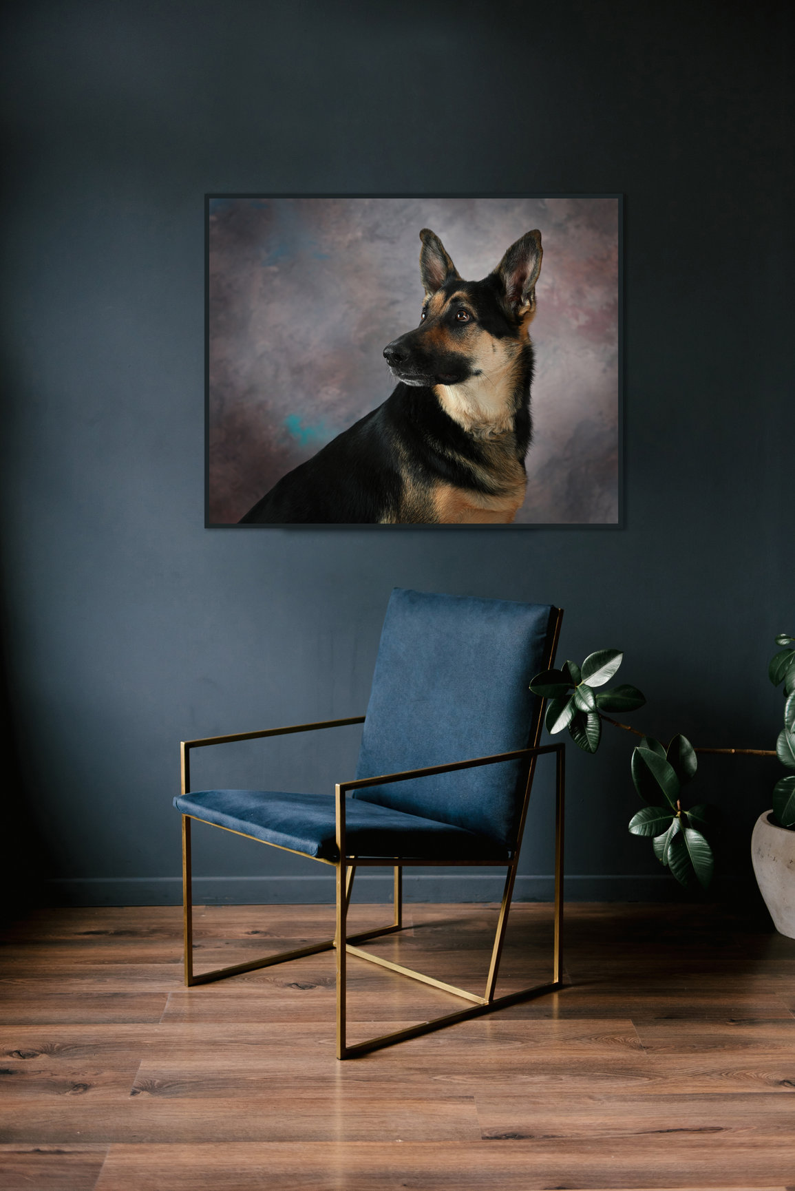 ReBARKable Pet Portraits Images by Kay & Co Photography